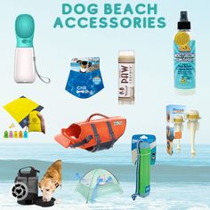 there are many items that can be found on the beach and in the water for dogs