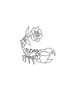 a drawing of a scorpion with flowers on it's back end and the letter c in