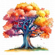 the colorful tree is painted in watercolor