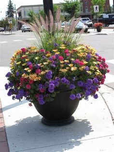 a potted planter filled with colorful flowers on the sidewalk