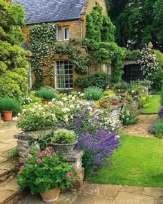 the garden is full of flowers and plants