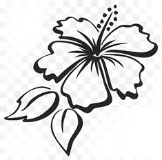 a black and white flower on a transparent background