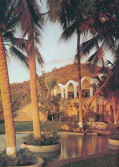 palm trees line the edge of a pool in front of a house