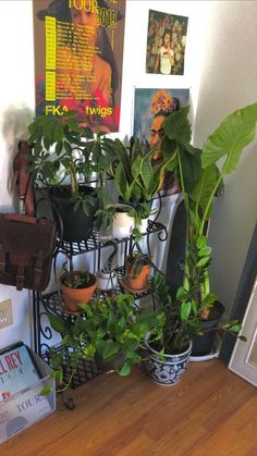 there are many potted plants in the corner of this room, and one is leaning against the wall