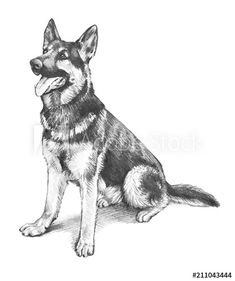 a black and white drawing of a dog sitting down with its tongue out in front of the camera