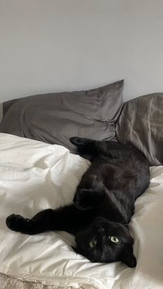 a black cat laying on top of a bed with white sheets and pillows in a room