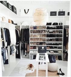 a white closet filled with lots of clothes and shoes next to a rug on the floor