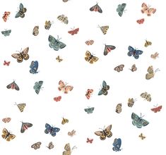 many different colored butterflies flying in the air