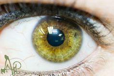 an extreme close up view of the iris of a person's eye with yellow and brown colors