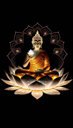 a buddha statue sitting on top of a lotus flower in the middle of a black background