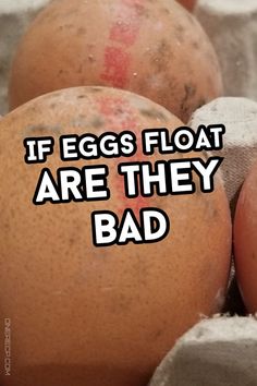 eggs with the words if eggs float are they bad