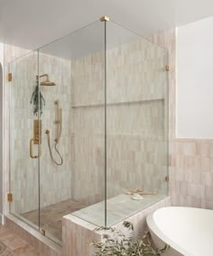 a bath room with a tub and a walk in shower next to a plant on the floor