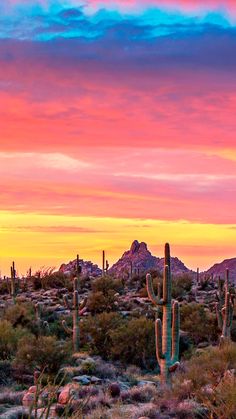 the sun is setting in the desert with many cacti