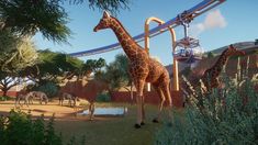 Planet Zoo | Windows PC | Steam Digital Download | Screenshot Zoo Games, Planet Coaster, Planets Art, Backyard Inspo, Planet Fitness Workout, Tropical Rainforest, Animal Planet, News Games, Habitat