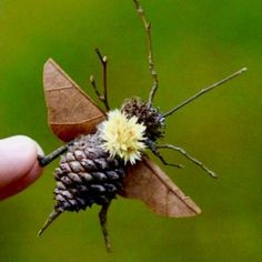 a hand holding a tiny insect with a yellow flower on it's back end