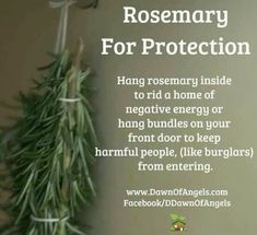 I had two rosemary plants in front of my home & it didn’t rid harmful toxic in laws to still come in and burglarizing my home. Witch House Protection, Angel Magic, Smudging Prayer, House Magic, House Cleansing, Magickal Herbs, Witchy Tips, Witch Herbs, Magia Das Ervas