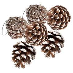 four pine cones are hanging from the ceiling