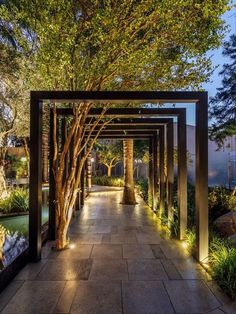 an outdoor walkway is lit up with lights and trees on either side, leading to the water