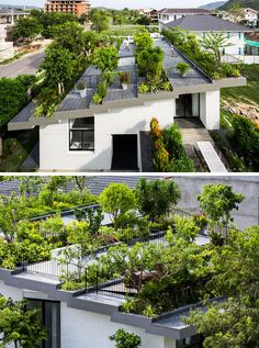 two pictures side by side with plants growing on the roof