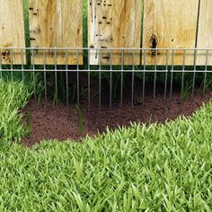 the fence is made of wood and has metal bars on it, along with green grass