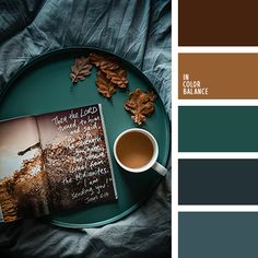 the color palette is teal, brown, and green with an open book next to it