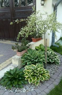 some plants are growing in the corner of a brick garden bed with gravel and rocks