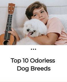 a young boy holding a white dog next to a ukulele