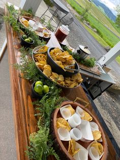 an outdoor buffet with chips, salsa and fruit