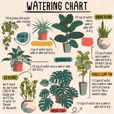 a poster with different types of house plants