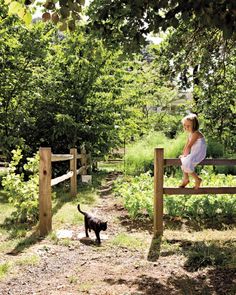 Farms Living, Country Scenes, Wooden Fence, Country Farm, Green Gables, Future Life, Permaculture, Country Life