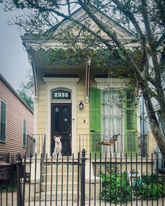 a small yellow house with green shutters and a white dog standing in the front door