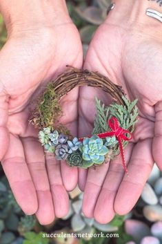 two hands are holding a wreath with succulents