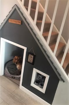 a dog is sitting in his bed under the stairs