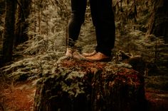 a person standing on top of a tree stump in the woods