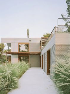 the entrance to a modern house surrounded by tall grass