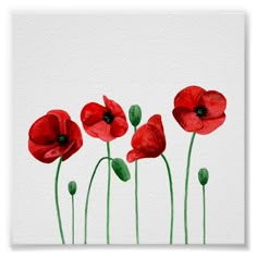 watercolor painting of red poppies on white paper with green stems and leaves in the foreground