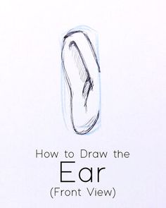 how to draw the ear front view