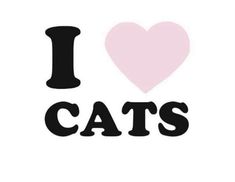 the words i love cats are written in black and pink with a heart on top