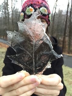 a person holding up a leaf with ice on it