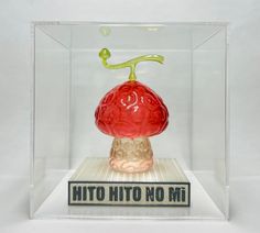 a glass display case with a red and yellow object in it's bottom half