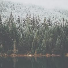 a mountain covered in snow next to a body of water with trees on both sides