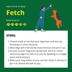 a poster with instructions on how to teach fetch