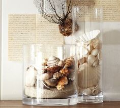 two clear vases filled with shells on top of a wooden table next to a deer head