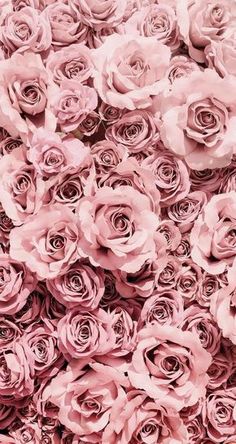 pink roses are arranged in the shape of a large flower, as well as many smaller ones