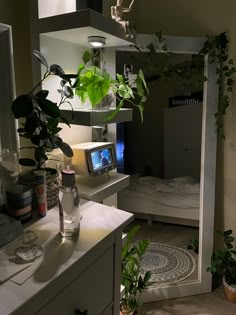 a bedroom with a bed, plant and television