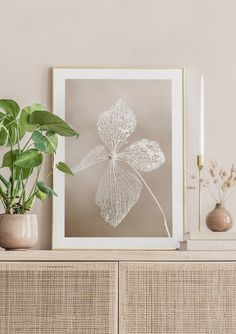 a white plant sitting on top of a wooden shelf next to a framed photo and candles