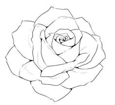 a black and white drawing of a rose on a white background with the words, how to draw a rose