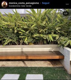 a wooden bench sitting next to a planter filled with green plants on top of grass