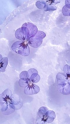 purple flowers floating in water on top of a white surface with bubbles and blue background