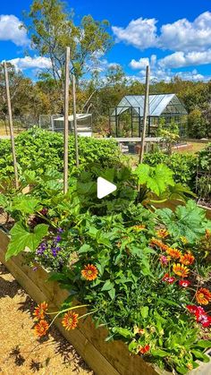 a garden filled with lots of different types of flowers and plants in it's own yard